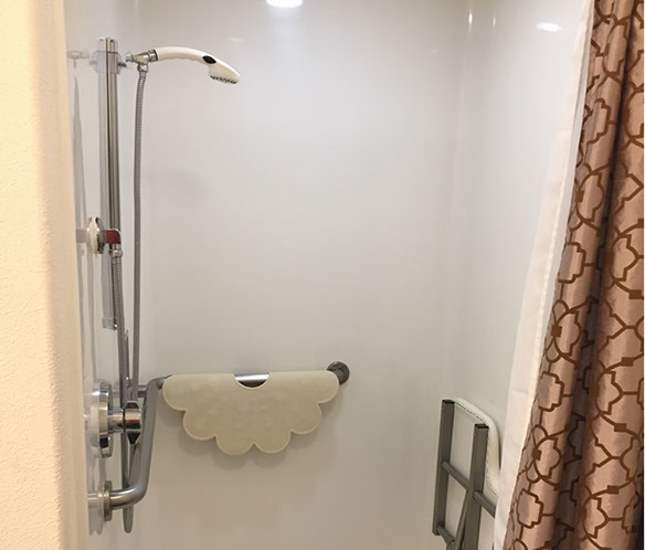 our room includes a roll in shower, fold down shower seat and handheld shower head.
